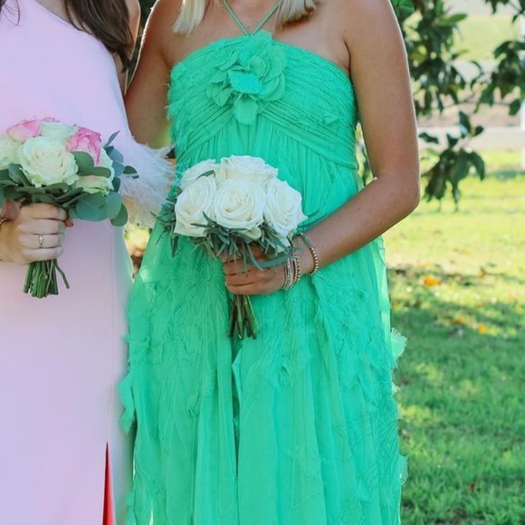 ISO!!! Alexis Sole Dress - Picture 3 of 3